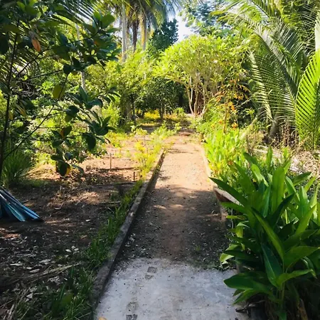Ba Danh Homestay & Kitchen - Ben Tre Mekong Exterior photo