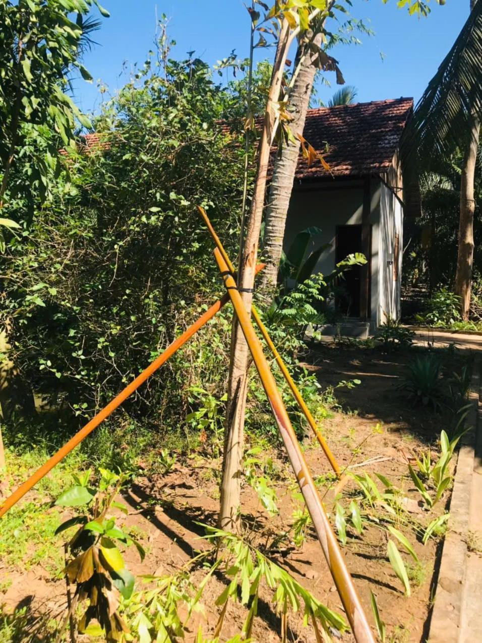 Ba Danh & Kitchen - Mekong * Ben Tre
